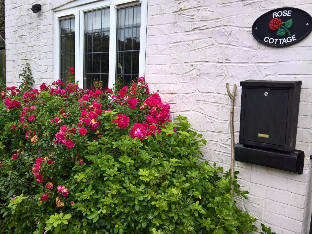 Rose Cottage 查尔德 外观 照片